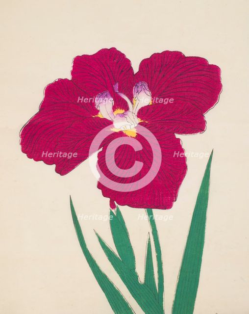 Tai-Hei-Raku, No. 18, 1890, (colour woodblock print)