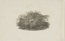 Tailpiece: Man in Bush, n.d. Creator: Thomas Bewick