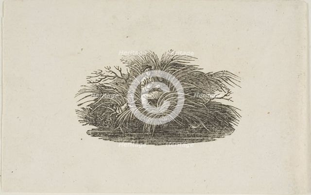Tailpiece: Man in Bush, n.d. Creator: Thomas Bewick.