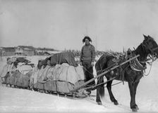 Taking a government load to Copper Center, between c1900 and c1930. Creator: Hunt, Phinney S.