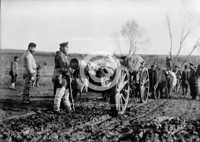Taking Big Bulgar Guns to Tchataldja #12, between c1910 and c1915. Creator: Bain News Service.