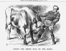 Taking the (Irish) Bull by the Horns 1870. Artist: Joseph Swain