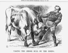 Taking the (Irish) Bull by the Horns 1870. Creator: Joseph Swain
