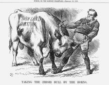Taking the (Irish) Bull by the Horns 1870. Creator: Joseph Swain