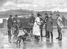 'Taking Toll in Ireland--A Scene at an Irish Pig Fair 1890. Creator: Unknown