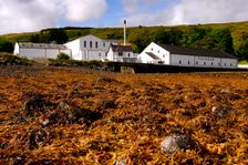 Talisker Distillery, Isle of Skye, Highland, Scotland. Creator: Peter Thompson