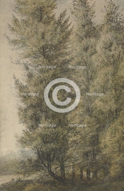 Tall pines on the edge of a forest, 1619-1690. Creator: Anthonie Waterloo.