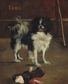 Tama, the Japanese Dog, c. 1875. Creator: Edouard Manet