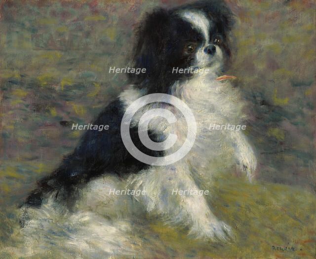 Tama, The Japanese Dog, c1876. Creator: Pierre-Auguste Renoir.