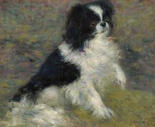 Tama, The Japanese Dog, c1876. Creator: Pierre-Auguste Renoir