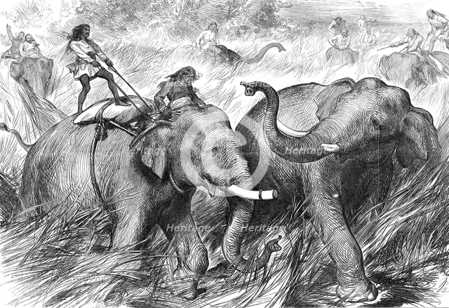 Tame Elephants hunting a Wild Elephant, from a sketch by one of our special artists in India,  1876. Creator: Unknown.