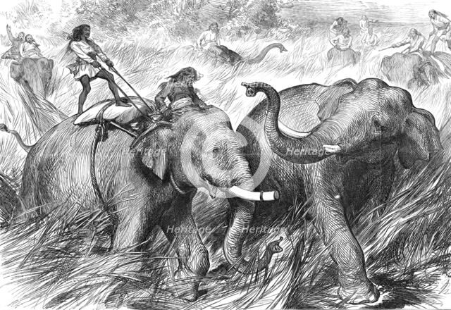 Tame Elephants hunting a Wild Elephant, from a sketch by one of our special artists in India,  1876. Creator: Unknown.