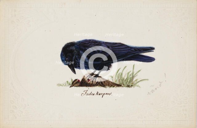Tame Raven "Judas", 1834. Creator: Ferdinand von Wright.