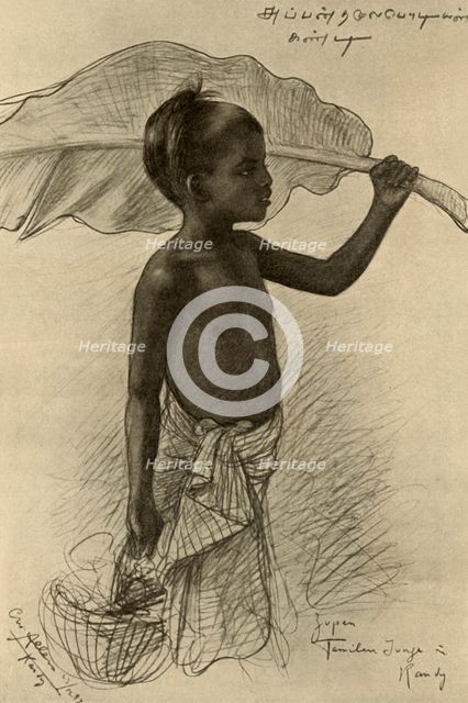 Tamil boy, Kandy, Ceylon, 1898. Creator: Christian Wilhelm Allers.