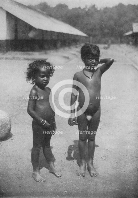 'Tamil Estate Children', c1890, (1910). Artist: Alfred William Amandus Plate.