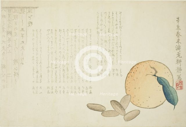Tangerine and Chinese Legend, Japan, spring 1871. Creator: Kosei.