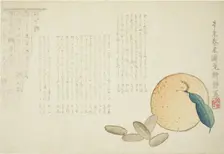 Tangerine and Chinese Legend, Japan, spring 1871. Creator: Kosei