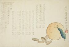 Tangerine and Chinese Legend, Japan, spring 1871. Creator: Kosei