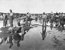 Tandis que;..et d'autres se baignent sous un chaud soleil, dans l'oued Djedi, pres..., 1917. Creator: Unknown