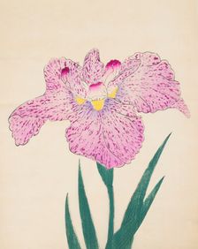 Tanka-No-Koe, No. 15, 1890, (colour woodblock print)