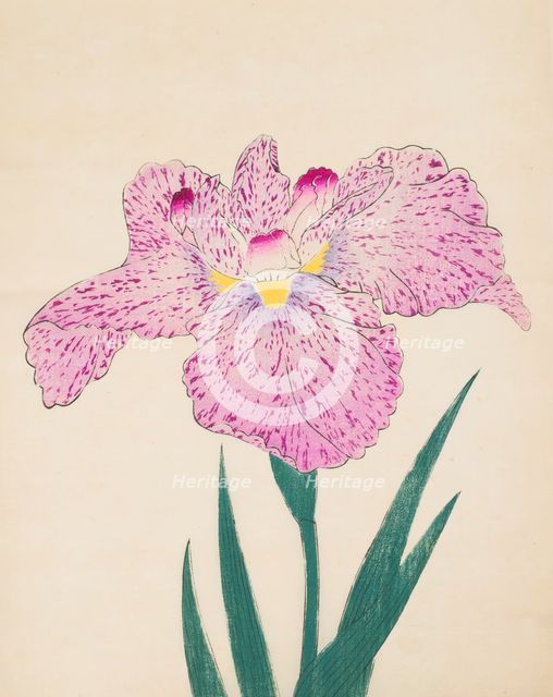 Tanka-No-Koe, No. 15, 1890, (colour woodblock print)