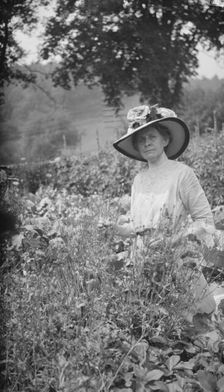 Tarbell, Ida, Miss, in her garden, 1912 or 1913. Creator: Arnold Genthe