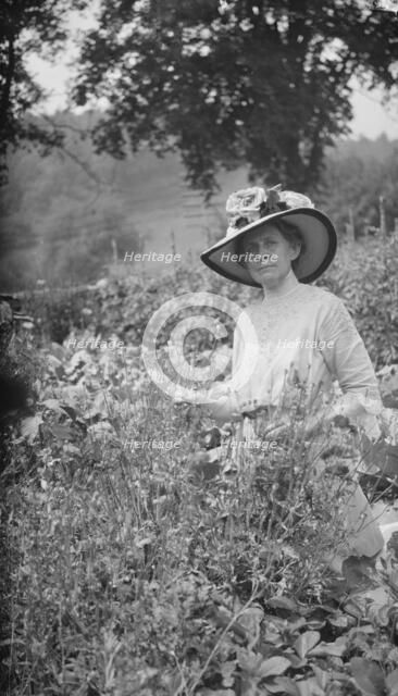 Tarbell, Ida, Miss, in her garden, 1912 or 1913. Creator: Arnold Genthe.