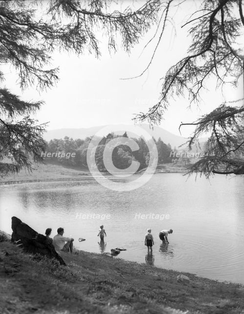 Tarn Hows, Lake District, c1955. Creator: Arthur Charles Kirby Ware.