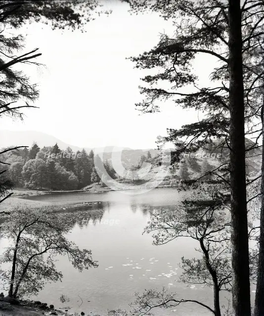 Tarn Hows, Lake District, c1955. Creator: Arthur Charles Kirby Ware.