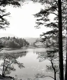 Tarn Hows, Lake District, c1955. Creator: Arthur Charles Kirby Ware