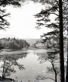 Tarn Hows, Lake District, c1955. Creator: Arthur Charles Kirby Ware