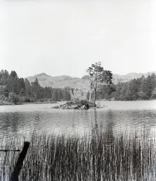 Tarn Hows, Lake District, c1955. Creator: Arthur Charles Kirby Ware