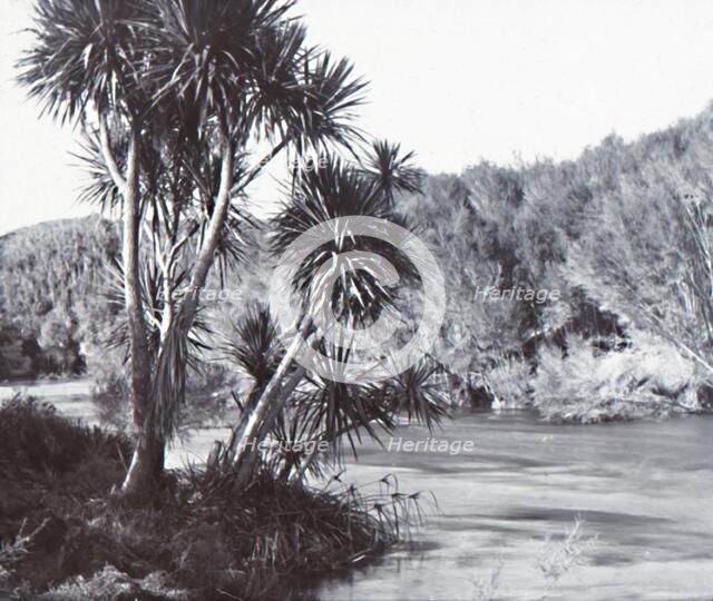Te Waihou River, Okoroire, late 19th-early 20th century.  Creator: Unknown.