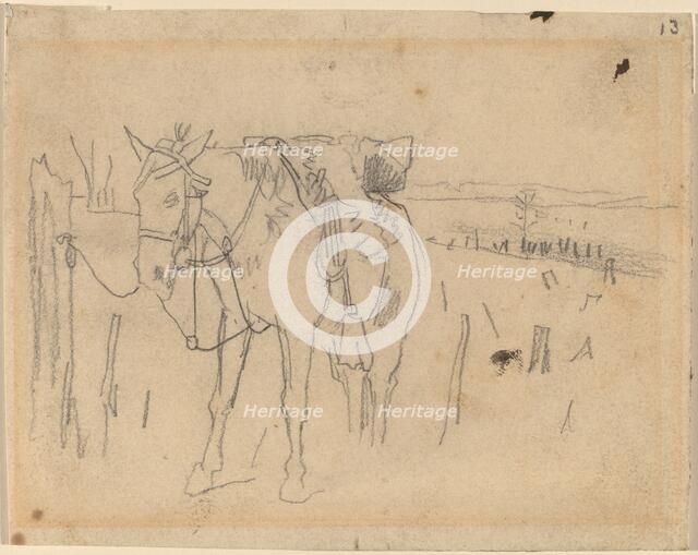 Tethered, 1864. Creator: Winslow Homer.