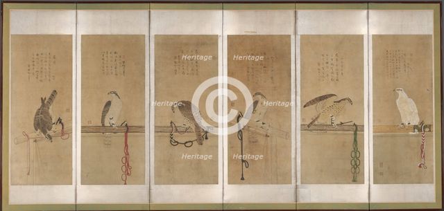 Tethered Hawks, before 1606. Creator: Soga Chokuan.