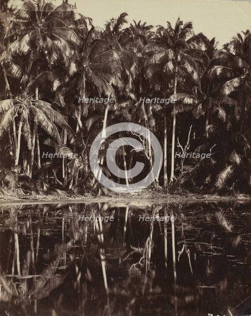Tetiaroa - Un lagon des Paumotu, 1880s or 1890s. Creator: Charles Spitz.
