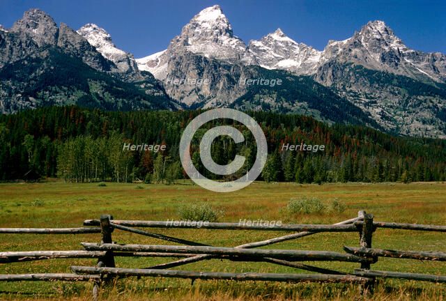 Tetons Fence. Creator: Tom Artin.
