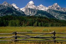 Tetons Fence. Creator: Tom Artin