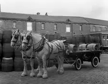 Tetley shire horses and dray, Joshua Tetley Brewery, Leeds, West Yorkshire, 1966. Creator: Michael Walters