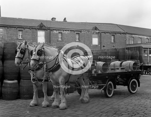 Tetley shire horses and dray, Joshua Tetley Brewery, Leeds, West Yorkshire, 1966. Artist: Michael Walters