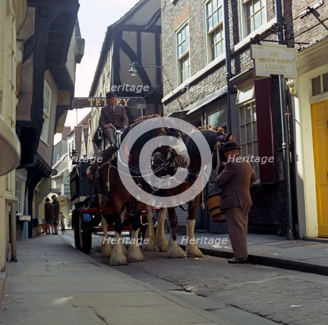 Tetley shire horses in the Shambles, York, North Yorkshire, 1969. Creator: Michael Walters.