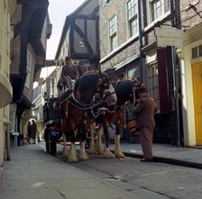 Tetley shire horses in the Shambles, York, North Yorkshire, 1969. Creator: Michael Walters