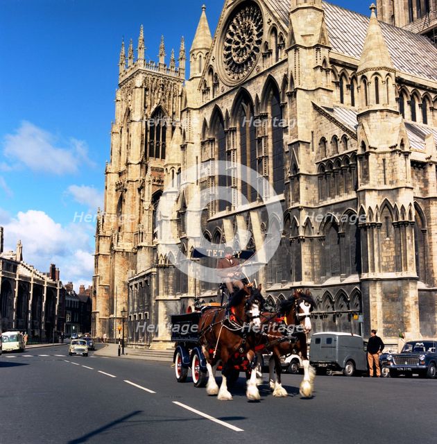 Tetley shire horses outside York Minster, North Yorkshire, 1969. Creator: Michael Walters.