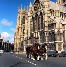 Tetley shire horses outside York Minster, North Yorkshire, 1969. Creator: Michael Walters