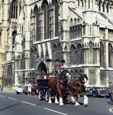 Tetley shire horses outside York Minster, North Yorkshire, 1969. Creator: Michael Walters