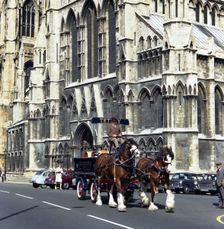 Tetley shire horses outside York Minster, North Yorkshire, 1969. Creator: Michael Walters