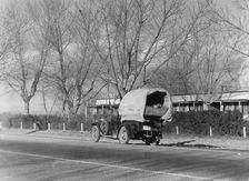Texans earning their way westward, bound for a new start in Oregon, US 99, California, 1935. Creator: Dorothea Lange