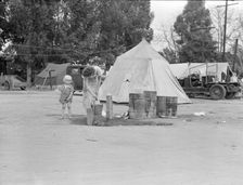 Texas drought refugees in cotton camp near Exeter, California, 1936. Creator: Dorothea Lange