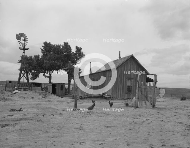 Texas tenant farmer's house, 1937. Creator: Dorothea Lange.