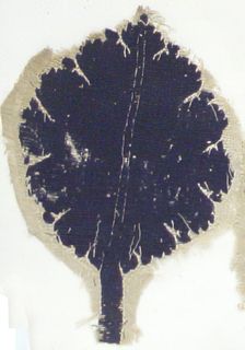 Textile Fragment, Coptic, 5th-6th century. Creator: Unknown